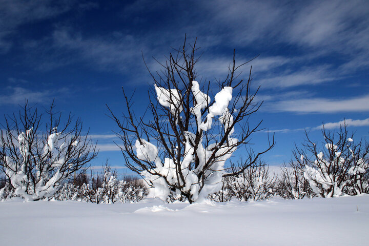 طبیعت ارومیه پس از بارش برف سنگین زمستانی