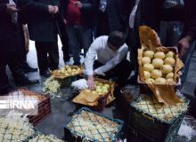 رییس‌جمهوری با تشکیل کمیته حل سریع مشکل سیب آذربایجان‌غربی موافقت کرد