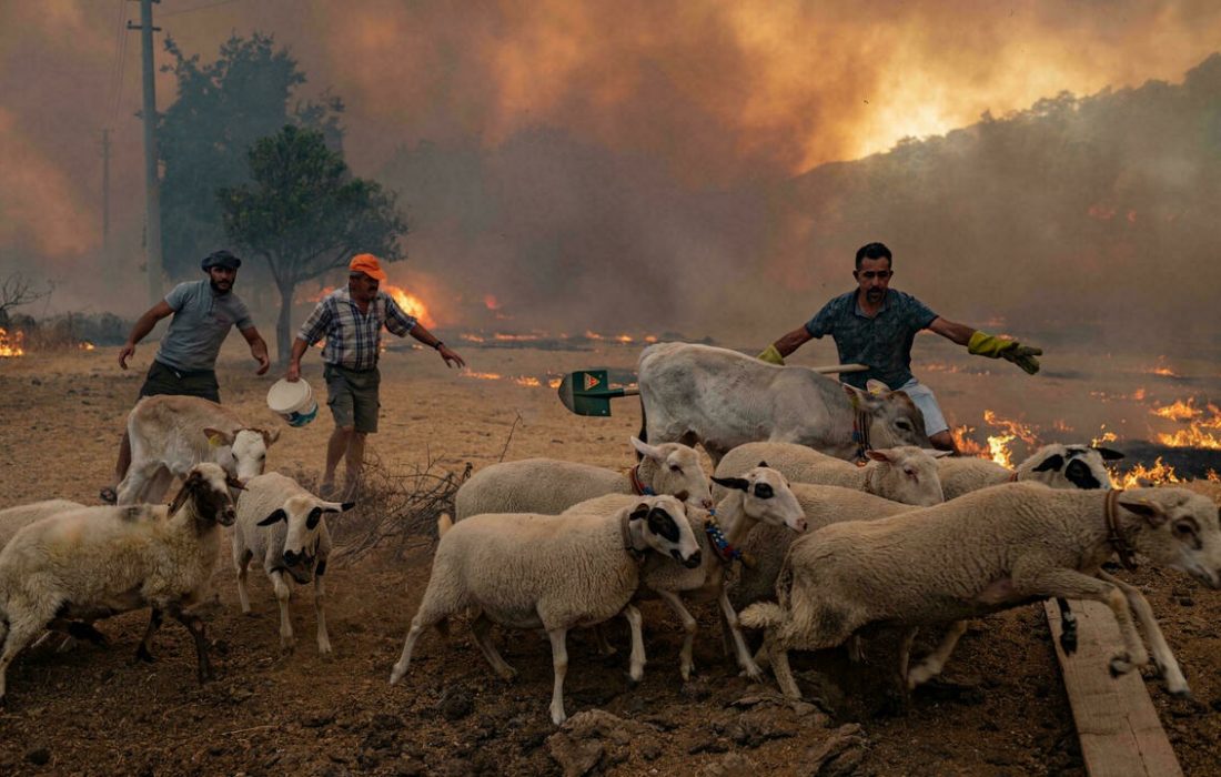 رد پای آمریکا در جنگل های ترکیه/ چرا شعله های آتش خاموش نمی شود؟