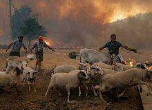 رد پای آمریکا در جنگل های ترکیه/ چرا شعله های آتش خاموش نمی شود؟