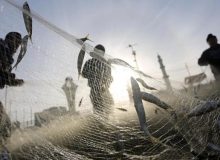صدور مجوز ماهیگیری در پشت سد شهرچایی ارومیه مورد بازنگری قرار می گیرد