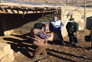 همزمان با هفته بسیج ارائه خدمات رایگان دامپزشکی در آذربایجان غربی