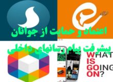 اعتماد و حمایت از جوانان، عامل پیشرفت پیام رسانهای داخلی