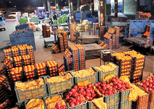 توزیع روزانه بیش از ۱۵۰۰ تُن میوه از میدان میوه و تره بار ارومیه