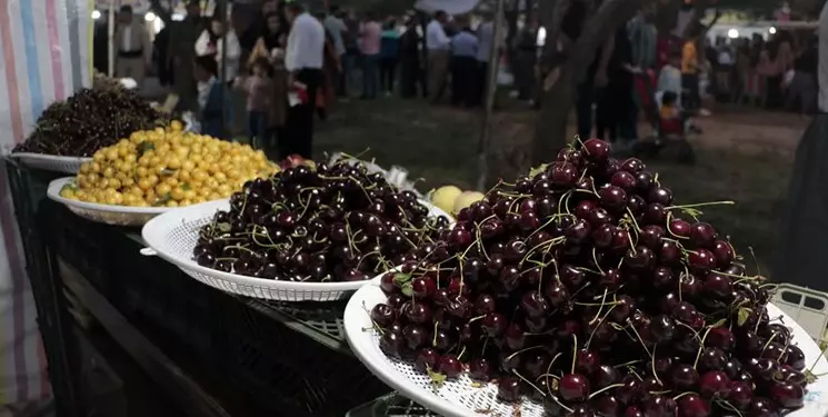 ارمغان جشنواره گیلاس اشنویه نشاط اجتماعی و حال خوب برای مردم است