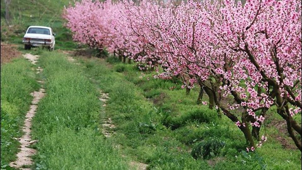 نوروز در راه است، مهیای بهشت شویم!